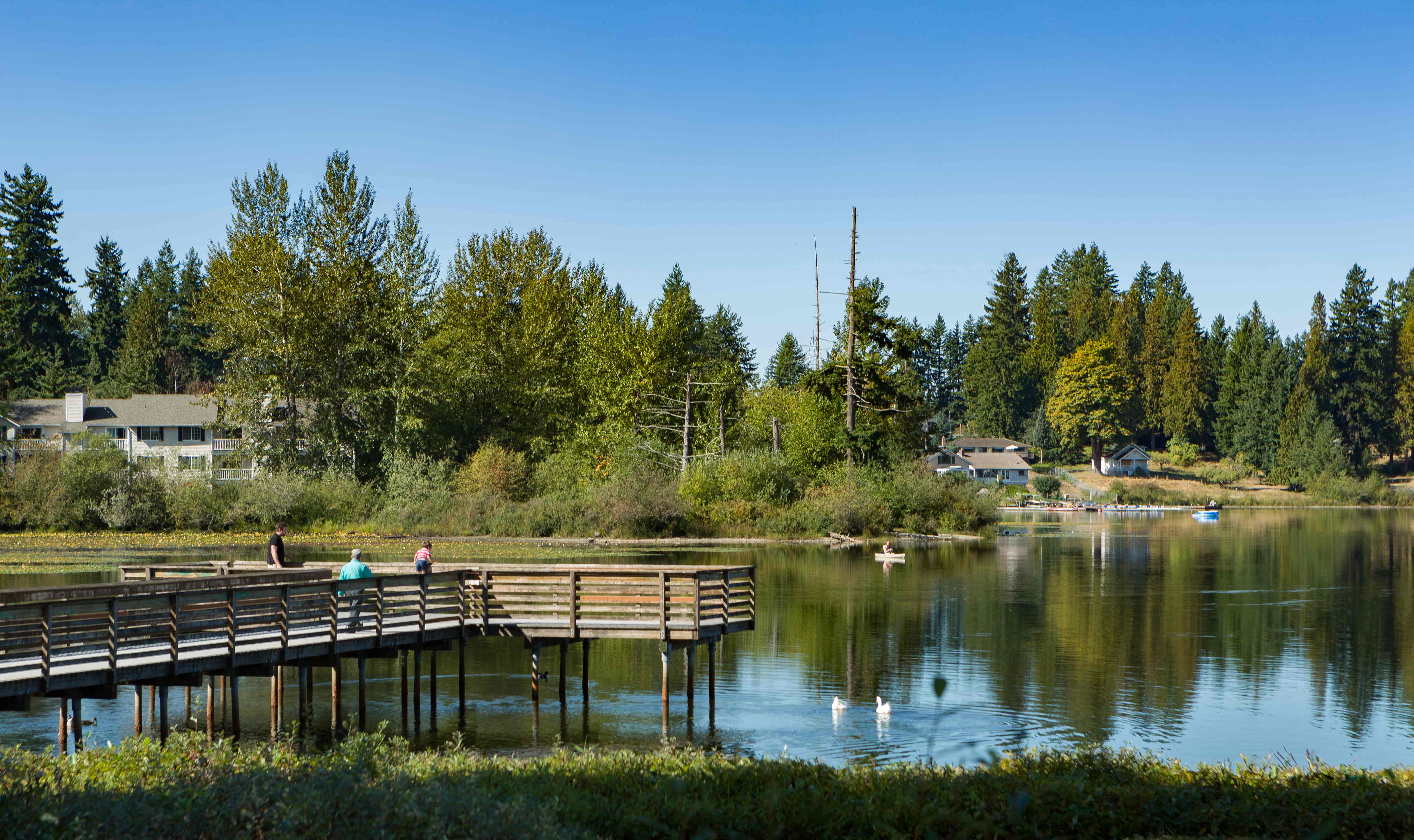 Silver Lake Park Washington