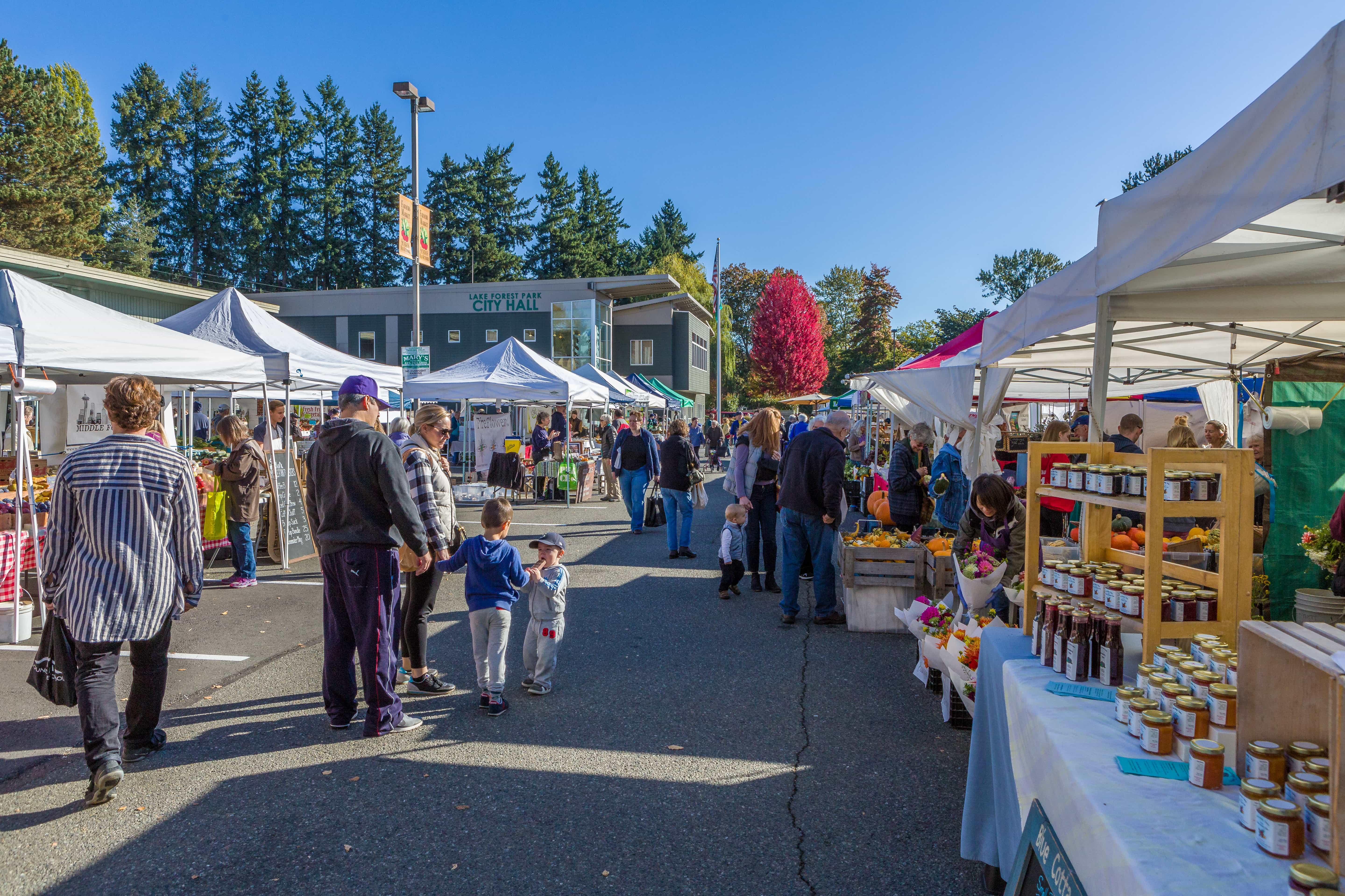 Lake Forest Park, Washington City Guide