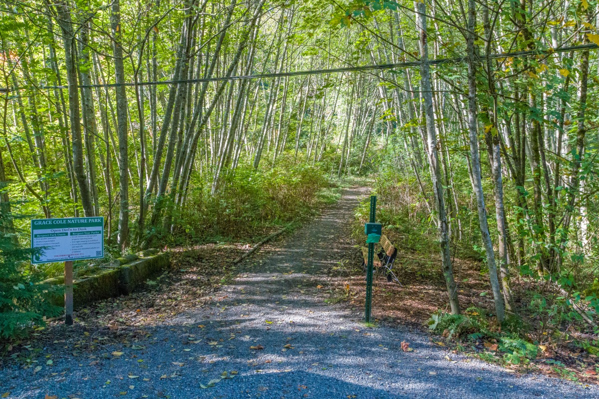 Escorts In Lake Forest Park, Wa